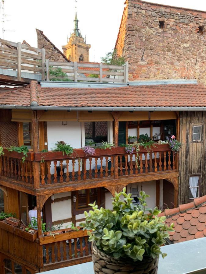 Coquet Studio Colmar Centre Bagian luar foto